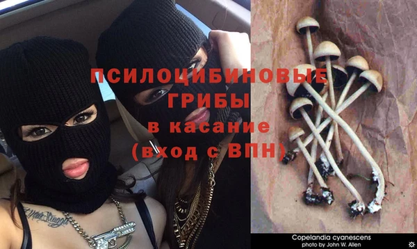 экстази Белокуриха